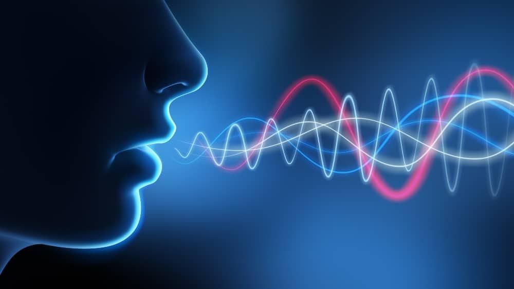Voice-biometrics.jpg